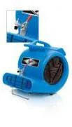 Water Damage Carpet Cleaning
